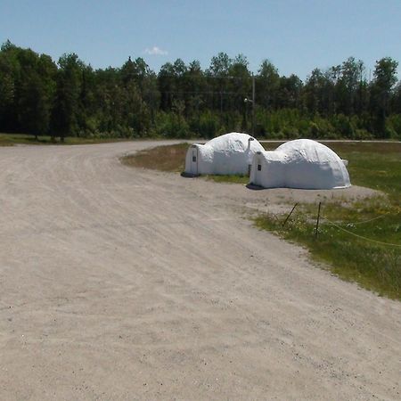 North Adventure Inn Cochrane Экстерьер фото