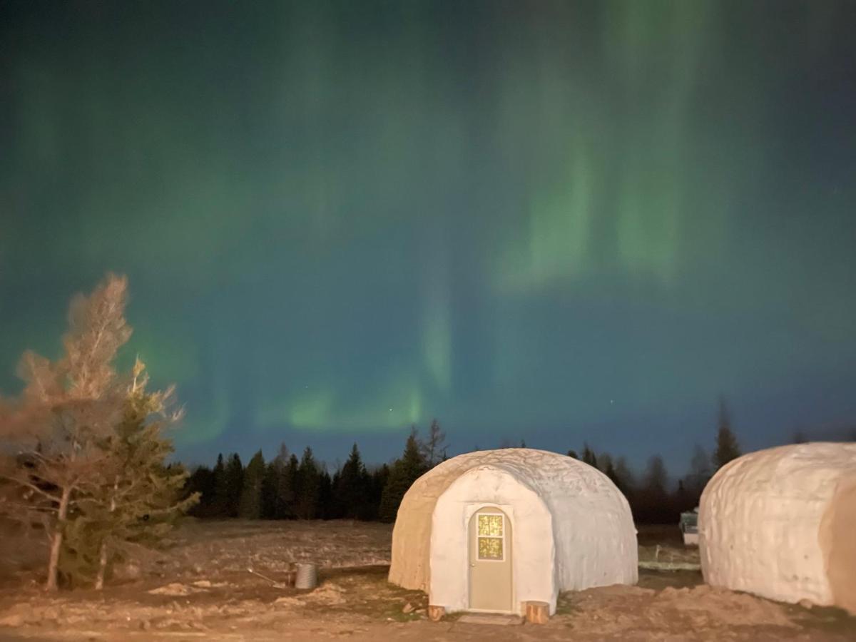North Adventure Inn Cochrane Экстерьер фото