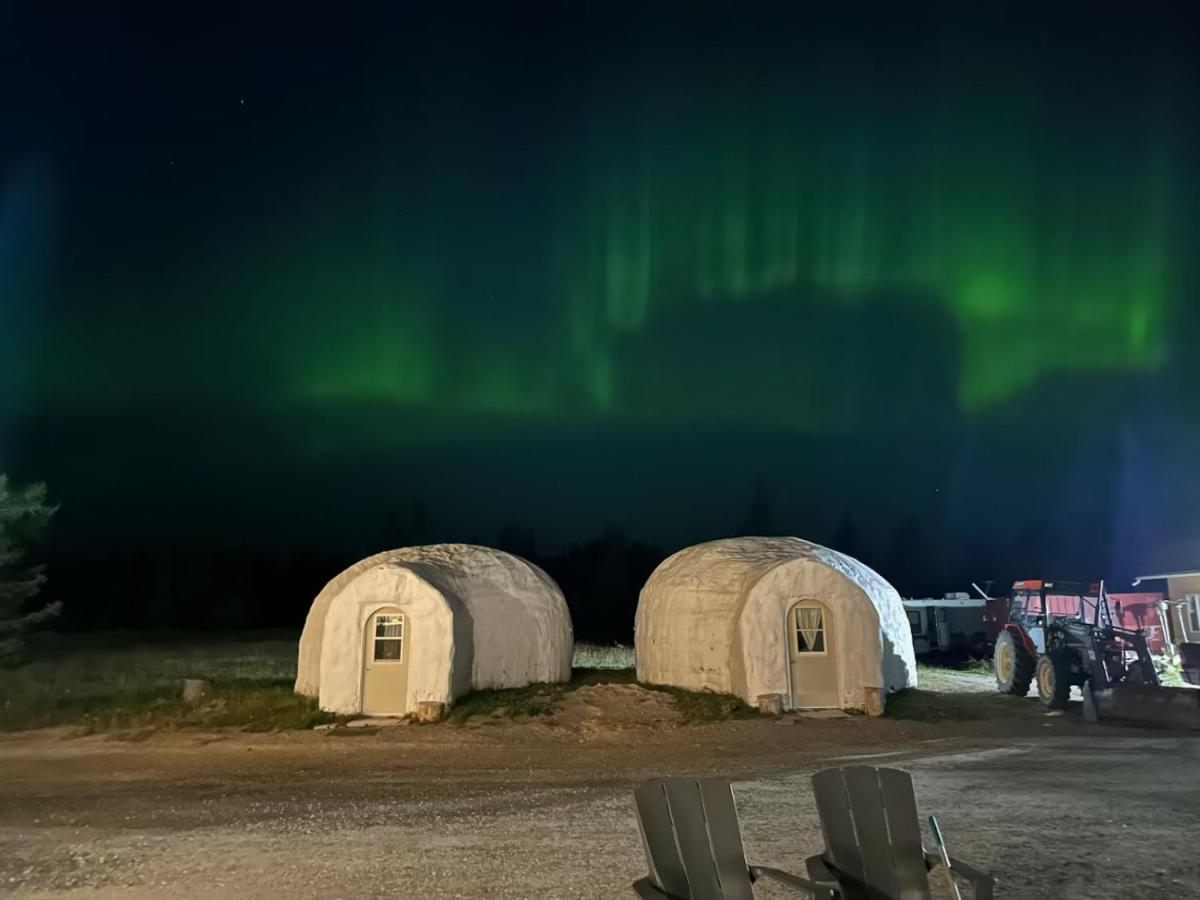 North Adventure Inn Cochrane Экстерьер фото