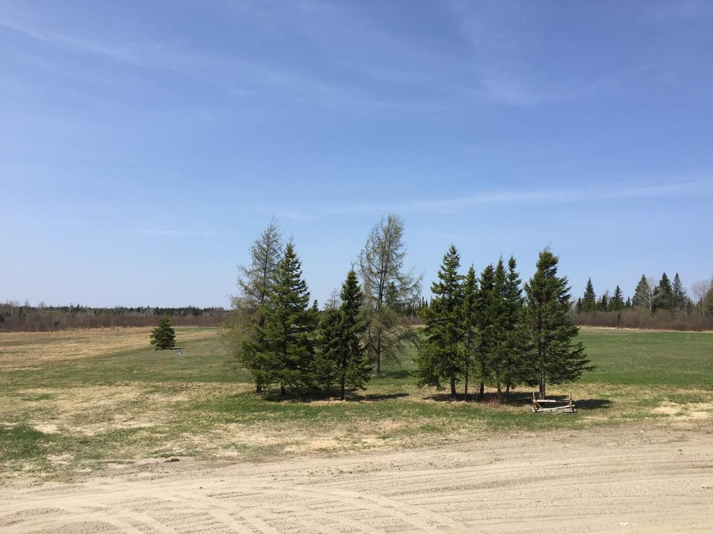 North Adventure Inn Cochrane Экстерьер фото